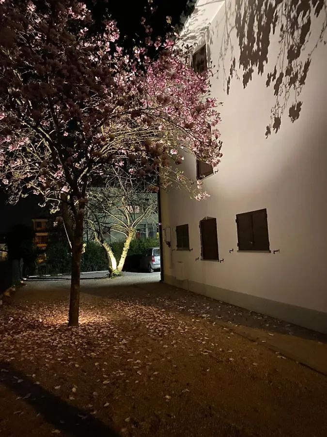 Casa Bellodi Novi di Modena Guest house